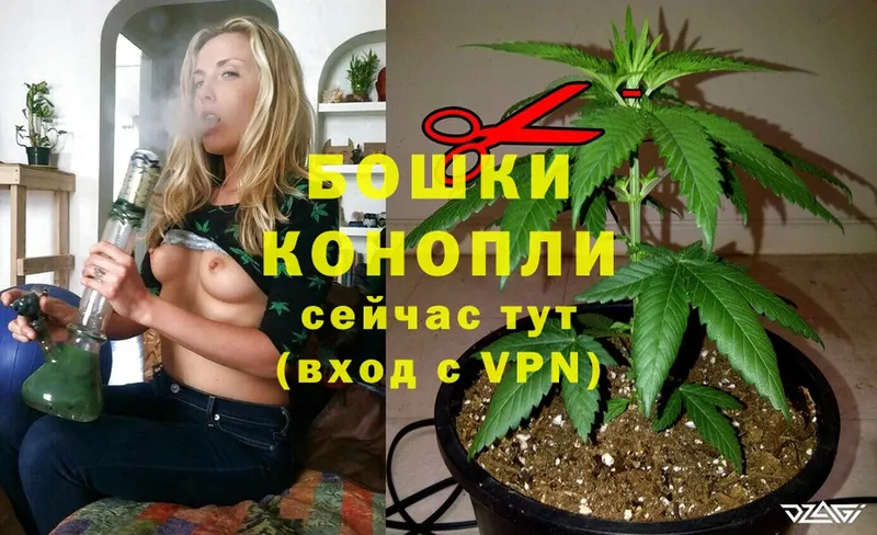 Бошки Шишки White Widow  наркошоп  маркетплейс официальный сайт  Бийск 